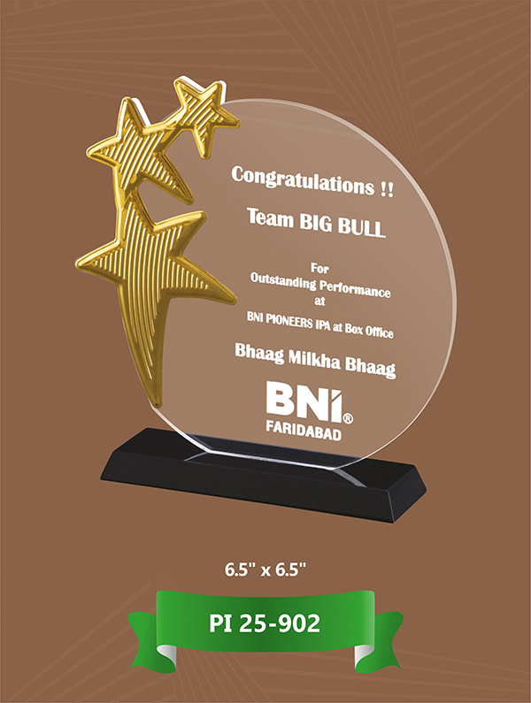 Premium Acrylic Trophy