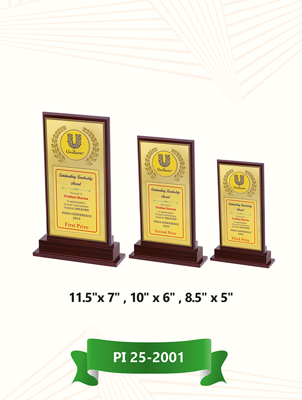 Star Performer Trophy