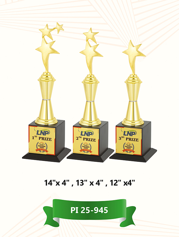 Academic Achievement Trophies